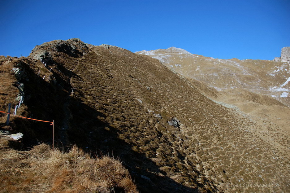 Cime Bianche di Telves